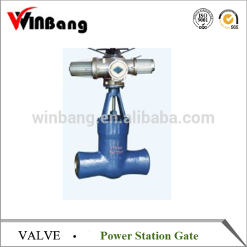 Power Station Gate Valve