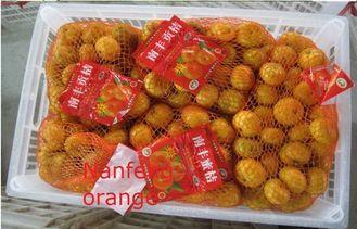 Thin Skin Easy Peel Fresh Mandarin Oranges / Tangerine With