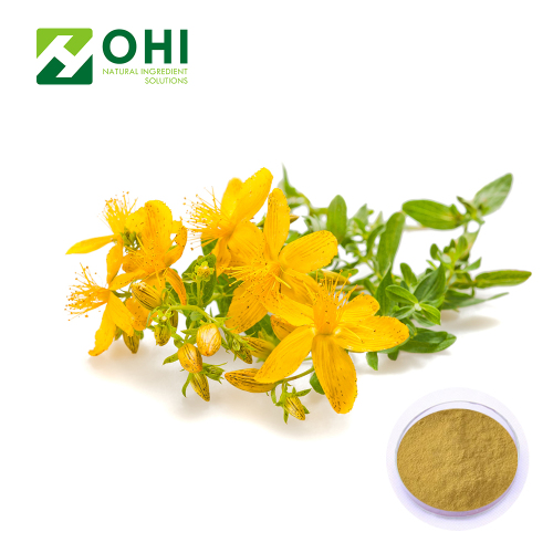 Wort Extract Hypericum Perforatum Hypericin Powder