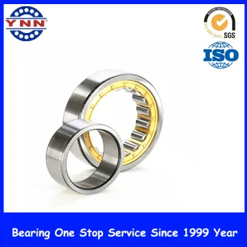 Cylindrical Roller Bearing (SL04 5004 PP 2NR)