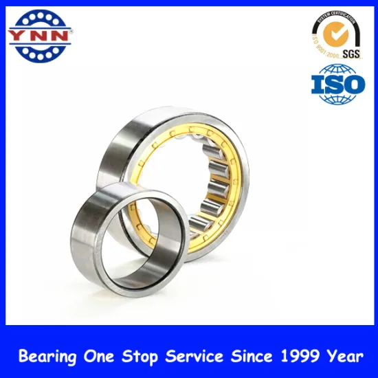 Bearings for Sliding Doors Cylindrical Roller Bearing