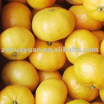 Nanfeng top orange