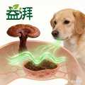 Private Label Pet Vitamin B12 Supplement OEM ODM