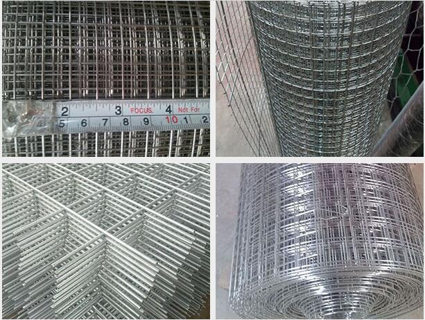 SS welded wire mesh 