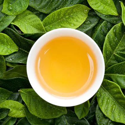 Hot Selling White Peach Oolong Tea with Milk Tea Pearls