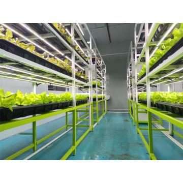 Mixlux LED cresce leve para vegetais
