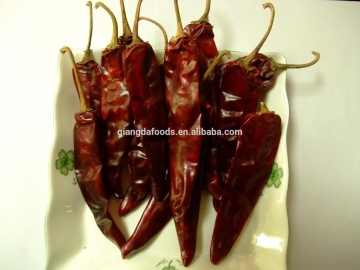 Dry red chilli chili pods dry chili Qingdao Qiangda foods