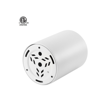 IP65 Waterproof Round LED Downlight - Indoor and Outdoor Surface Mounted Hanging Light