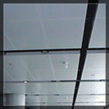 Metal Ceiling and Metal Ceiling Tiles for Metal Suspended Ceiling