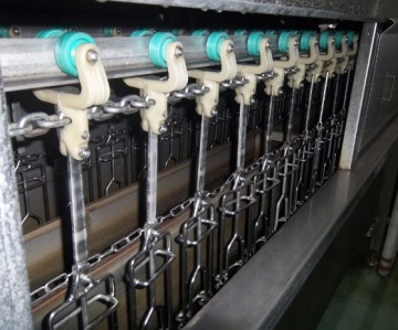 Large Chicken Scalding Machine