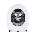 Duroplast Toilet Seat Soft Close Quick Release(cat)