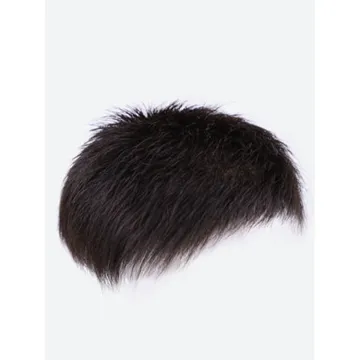 Natural Looking Men Toupee Human Hair Man Hairpieces 100% Human Hair Natural Black Machine Made Men Toupee With Clips