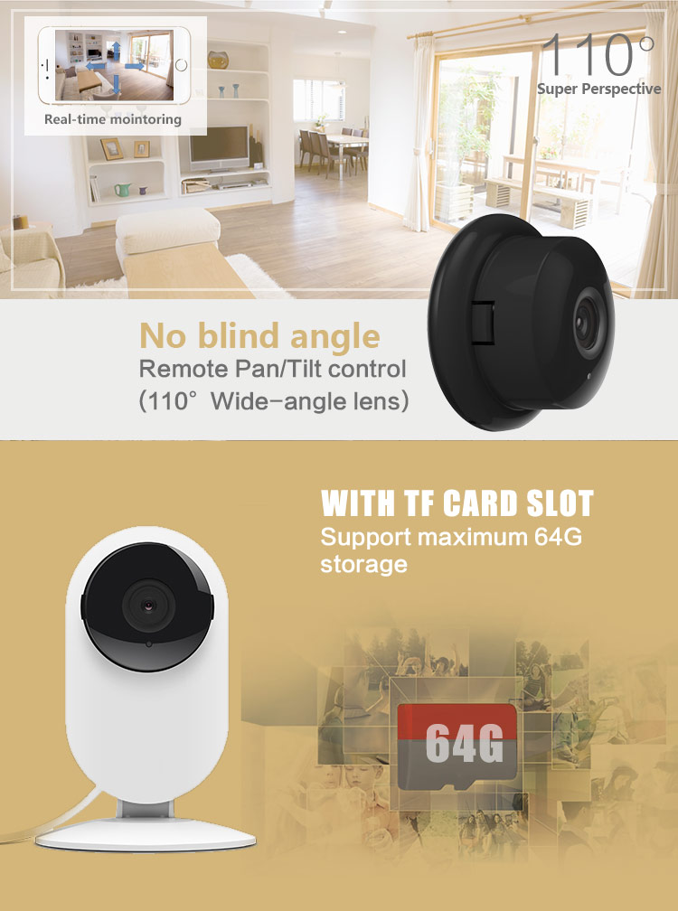 110 Degree View Angle IP Camera