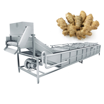 Air Bubble Vegetable Washing Machine for Leafy Vegetables