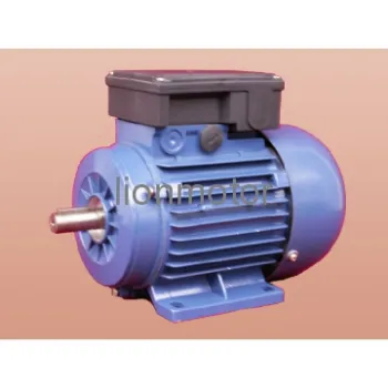 Y2 Series Three Phase Induction Motor
