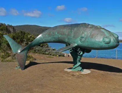 Enormous Style Sculpture Garden Decoration Bronze Blue Whale Statue