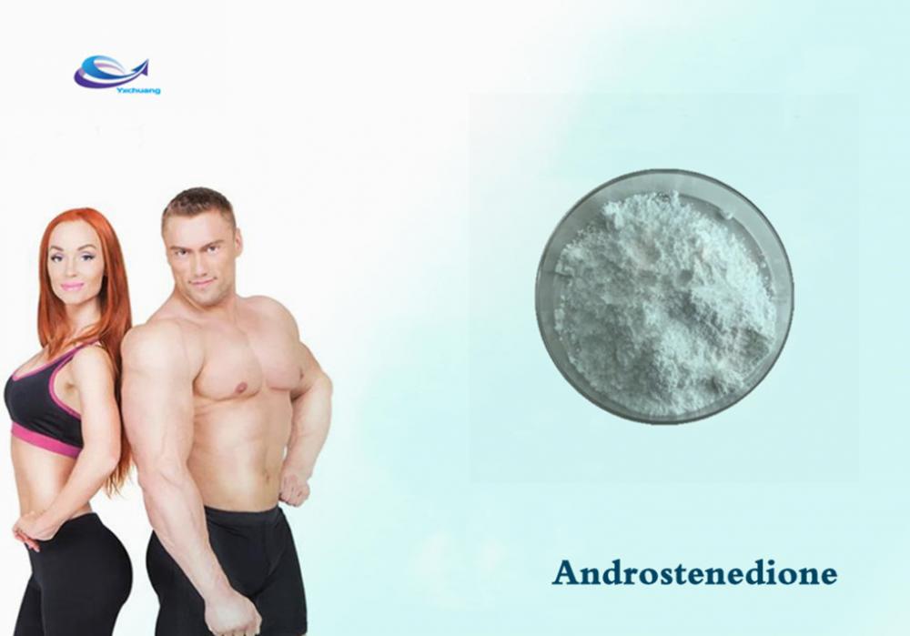 For BodyBuilding Prohormone Powder Androstenedione 63-05-8