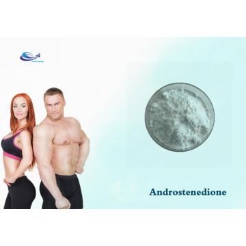 For BodyBuilding Prohormone Powder Androstenedione 63-05-8