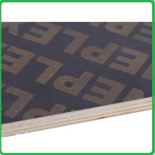 Hight quality shuttering plywood