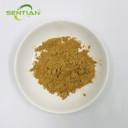 Premium Croton Extract for Plant Care