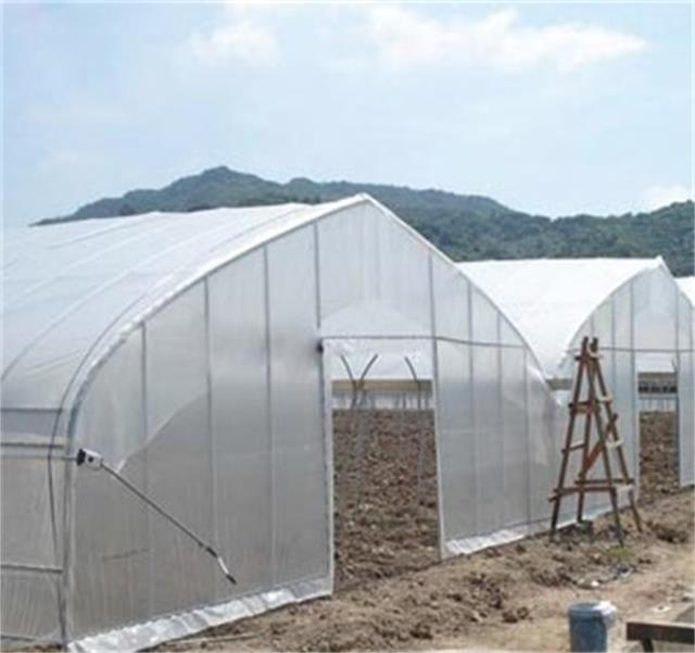 Tunnel greenhouse with UV protection for growing vegetables