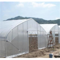 low cost greenhouse poly tunnel solar hydroponic greenhouse