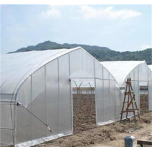 Skyplant Planting Greenhouse Mehrfeldgewächshaus
