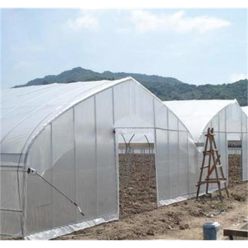 Single polycarbonatevegetable tunnel greenhouse