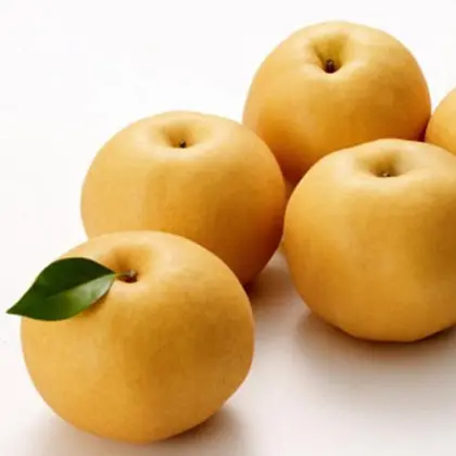 new crop autumn pear