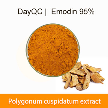 استخراج polygonum cuspidatum 95 ٪ المواد الخام السائبة