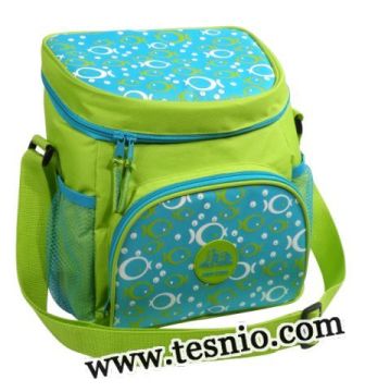 Insulated Cooler Bag, Insulated Lunch Cooler Bag (Tesnio-CB1002)