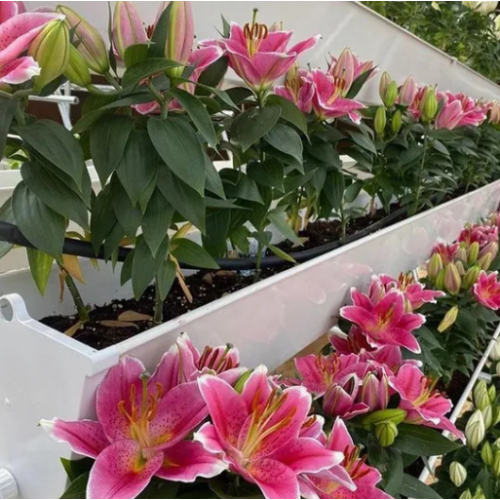 Wholesale Parking Lot Gutter Kits Easy-Install Drainage for Steel Carports