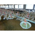 Pan feeder system(Poultry feeding pan system)