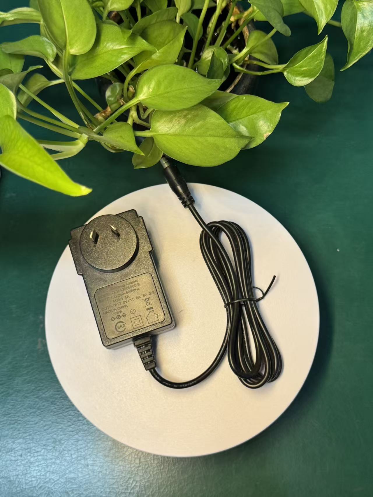 12V 5A Output