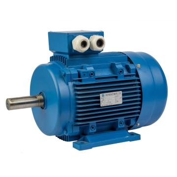 MS series three phase aluminum motor