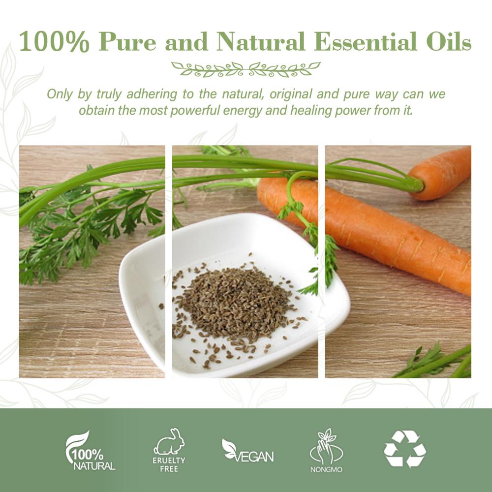 Pure and Nature Steam Distillation Carrot Seed Oil For Face Skin Care