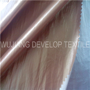 210t Nylon Fabric with Pearl Gold Coating Fabric (DN3104)
