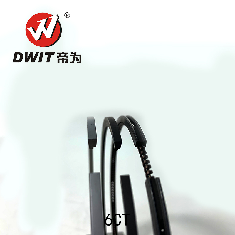 High Quality DWIT Spare Parts 6CT8.3 Piston Ring Set 3921444 3928147 for CUMMINS