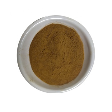 japanese honeysuckle powder/honeysuckle extract powder