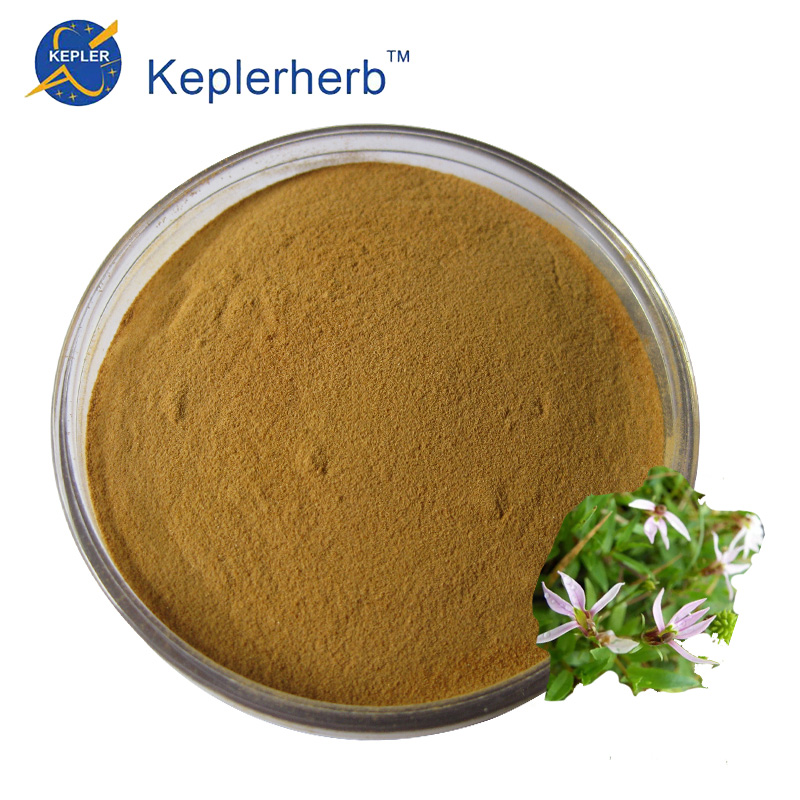 Lobelia Extract Powder extract