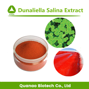 Salt Algae Dunaliella Salina Extract Beta Carotene 1%