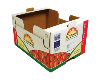 Open-Top Corrugated Trays