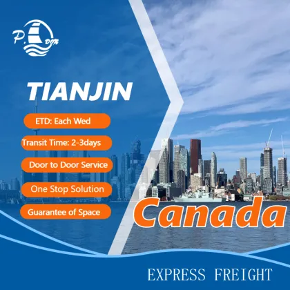 Best Express Service Air Forwarder To Canada