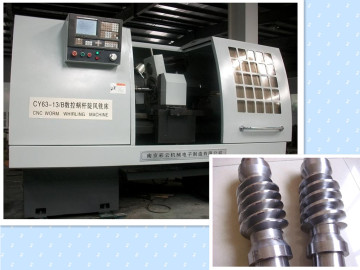 Worm Whirling Wachine (CY63)