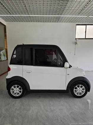 Hot RHD Pure Electric 2-Seater Jiayuan Electric Car
