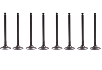 Engine Compatible Exhaust Valve