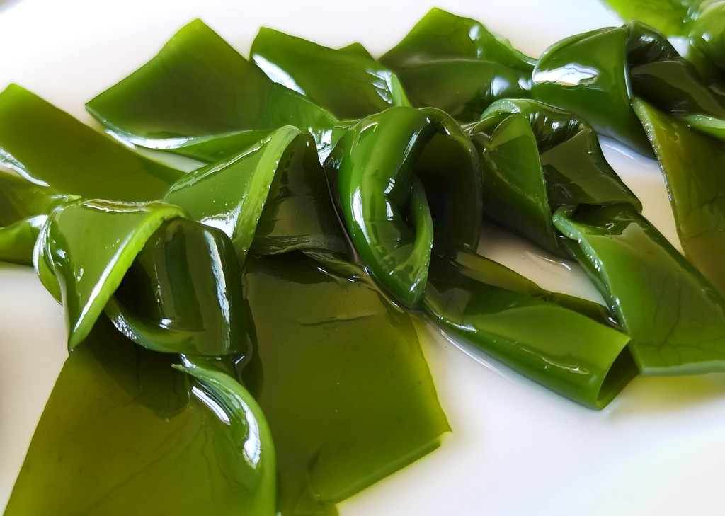 sea kelp