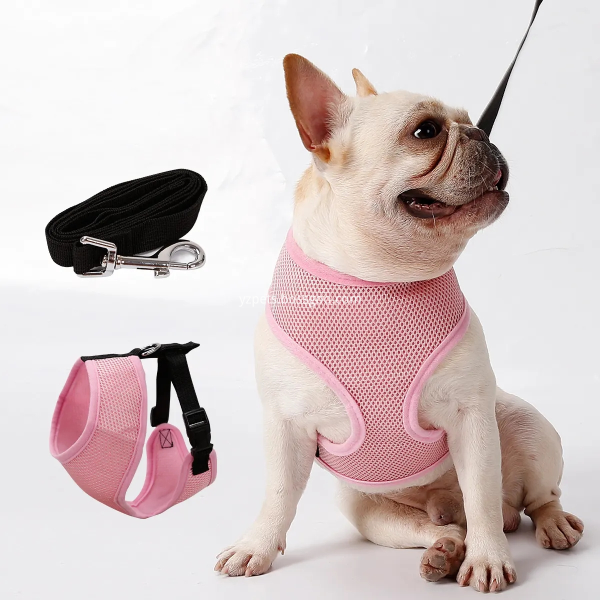 Arnês de animais de estimação Pet Harness