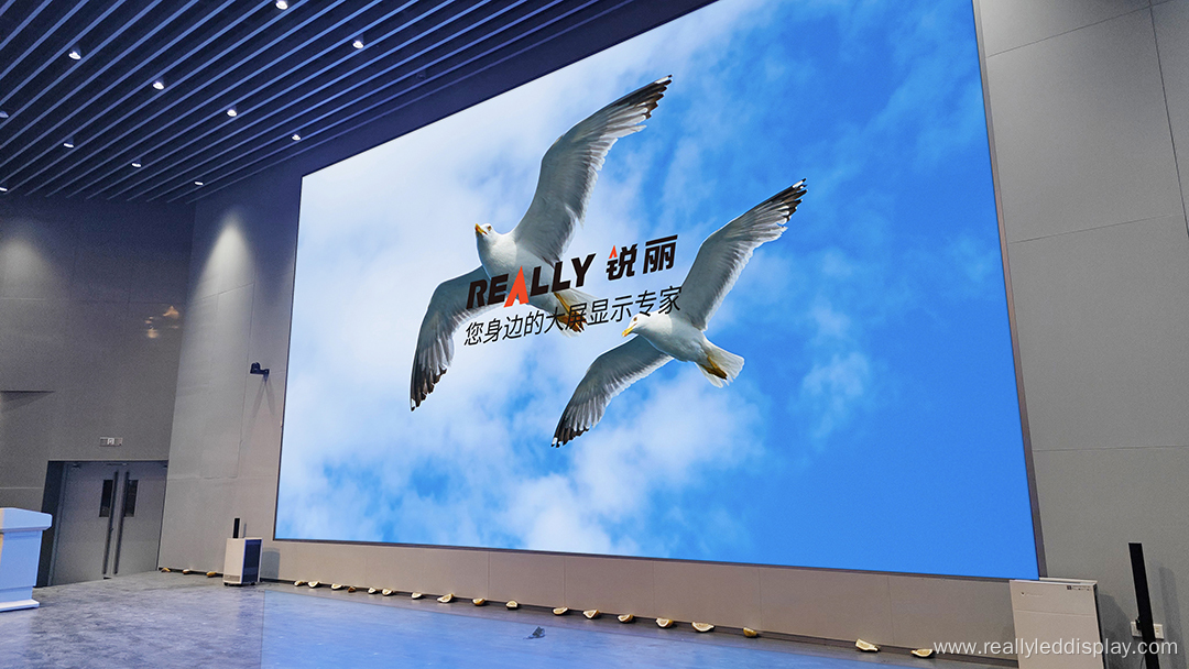 Really P1.25 COB LED dispaly video walls