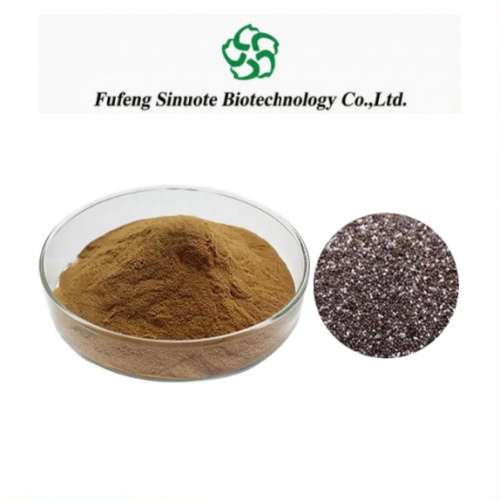 Natural Chia Seed Extract Powder